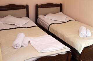 Отели типа «постель и завтрак» B&B Old Tbilisi Тбилиси Двухместный номер эконом-класса с 2 отдельными кроватями-3
